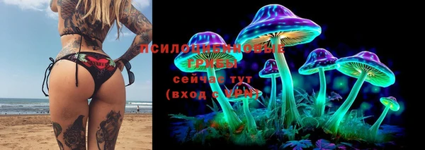 гашик Магас