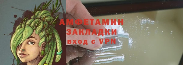 гидра Мегион