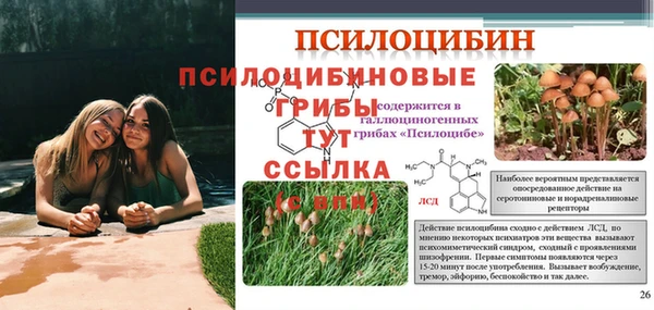гидра Мегион