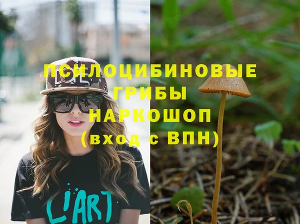 гидра Мегион