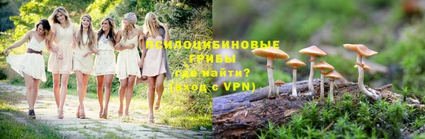гидра Мегион
