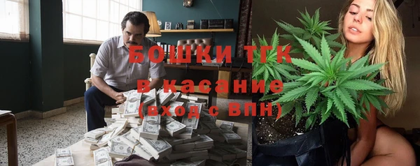 стафф Верхний Тагил