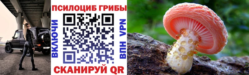 Псилоцибиновые грибы Magic Shrooms Дно